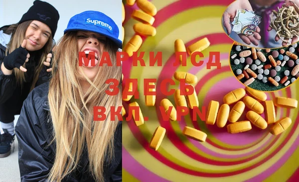 сатива Покачи