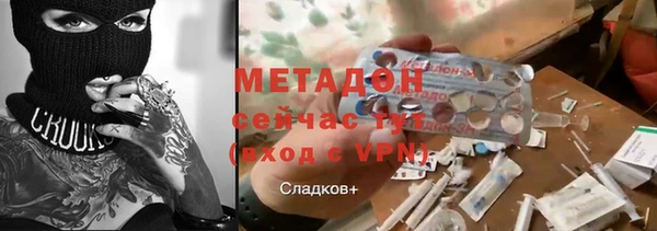 сатива Покачи