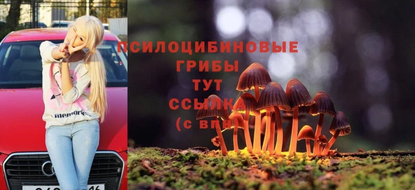 бутират Алексин