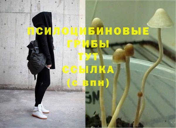 дживик Алзамай