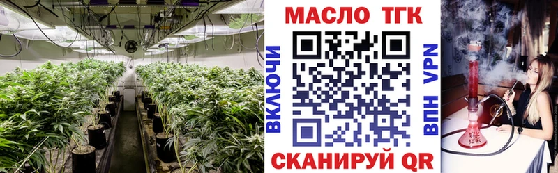 Дистиллят ТГК гашишное масло  где купить наркотик  hydra ссылки  Завитинск 