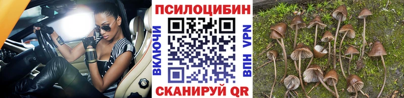 сколько стоит  Завитинск  Галлюциногенные грибы MAGIC MUSHROOMS 